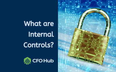 What Are Internal Controls?