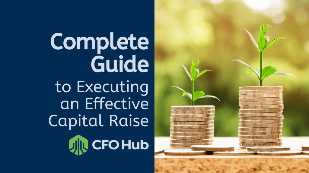 Image shows a graphic with a dark blue background on the left, containing the text "Complete Guide to Effective Execution of a Capital Raise" and the logo of CRI CFO Hub beneath it. On the right side, there are two stacks of coins with green seedlings growing from them, set against a blurred natural background.