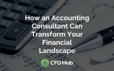 How an Accounting Consultant Can Transform Your Financial Landscape